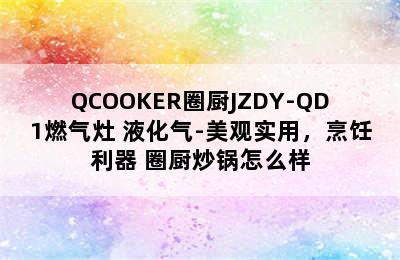 QCOOKER圈厨JZDY-QD1燃气灶 液化气-美观实用，烹饪利器 圈厨炒锅怎么样